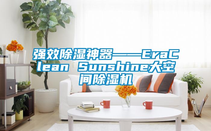 強效除濕神器――EraClean Sunshine大空間除濕機