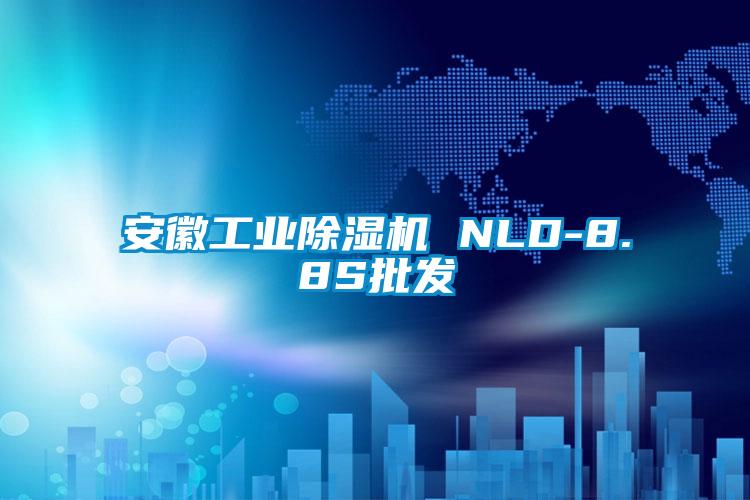 安徽工業除濕機 NLD-8.8S批發