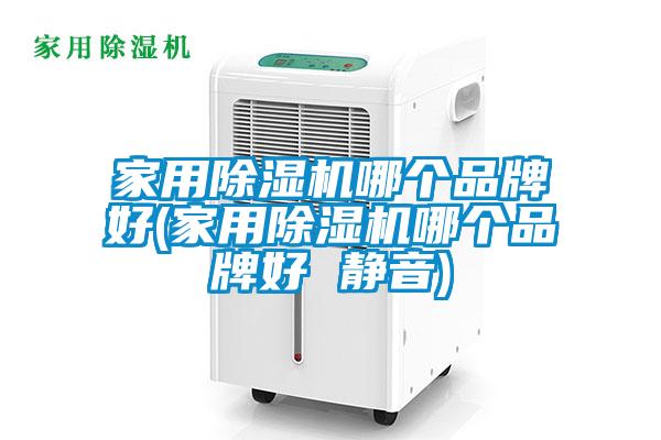 家用除濕機哪個品牌好(家用除濕機哪個品牌好 靜音)