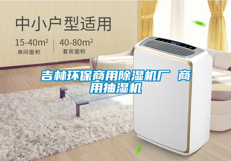 吉林環(huán)保商用除濕機廠 商用抽濕機