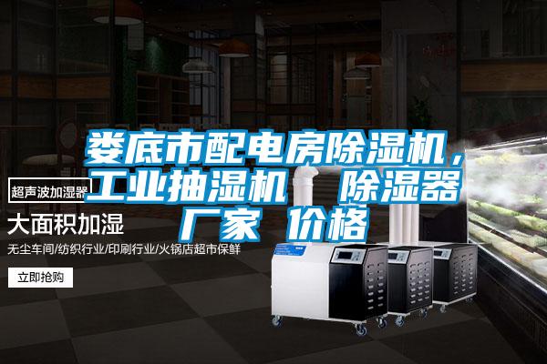 婁底市配電房除濕機，工業抽濕機  除濕器廠家 價格