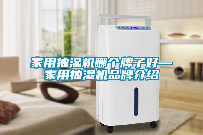 家用抽濕機哪個牌子好—家用抽濕機品牌介紹