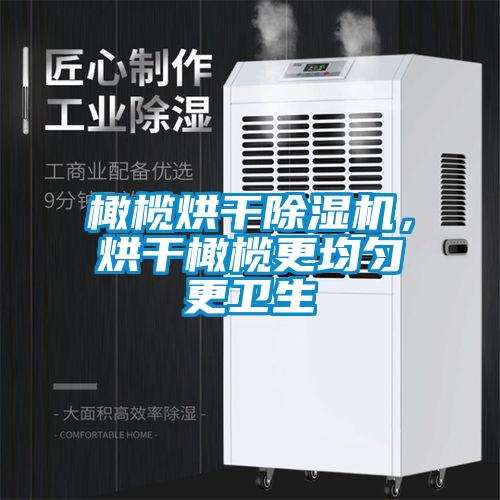 橄欖烘干除濕機，烘干橄欖更均勻更衛生