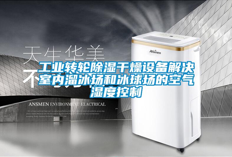 工業轉輪除濕干燥設備解決室內溜冰場和冰球場的空氣濕度控制