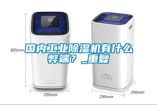 國內工業除濕機有什么弊端？_重復