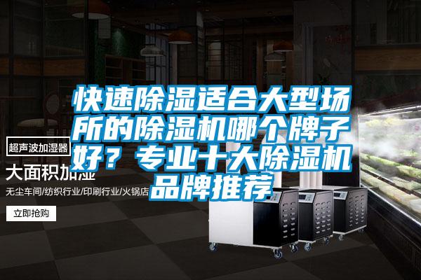 快速除濕適合大型場所的除濕機哪個牌子好？專業十大除濕機品牌推薦