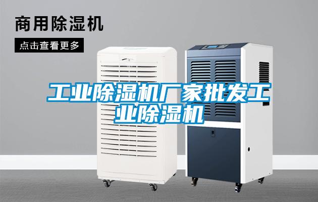 工業除濕機廠家批發工業除濕機