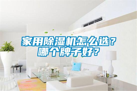 家用除濕機怎么選？哪個牌子好？