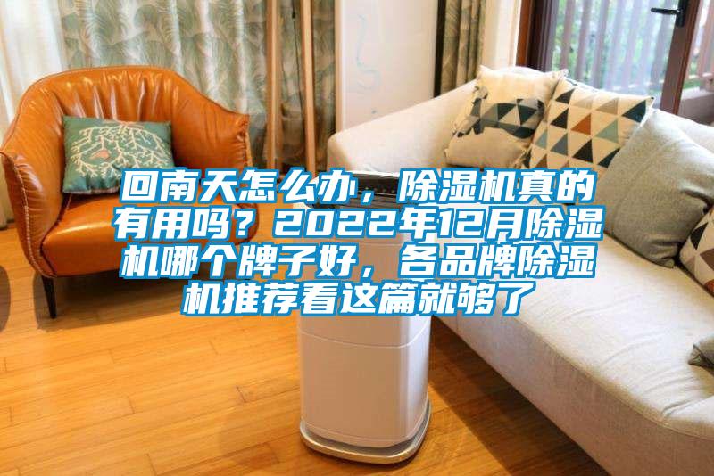 回南天怎么辦，除濕機真的有用嗎？2022年12月除濕機哪個牌子好，各品牌除濕機推薦看這篇就夠了