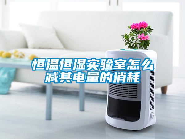 恒溫恒濕實(shí)驗(yàn)室怎么減其電量的消耗