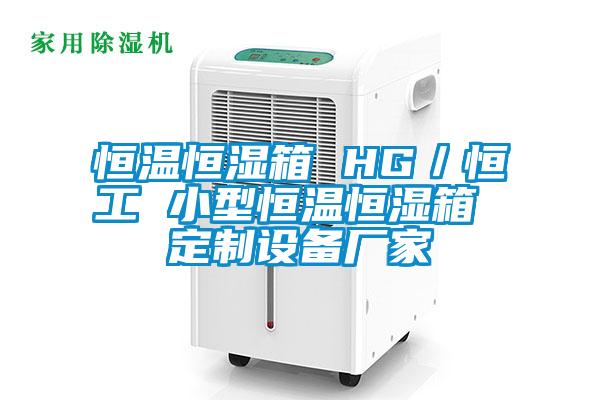 恒溫恒濕箱 HG／恒工 小型恒溫恒濕箱 定制設備廠家