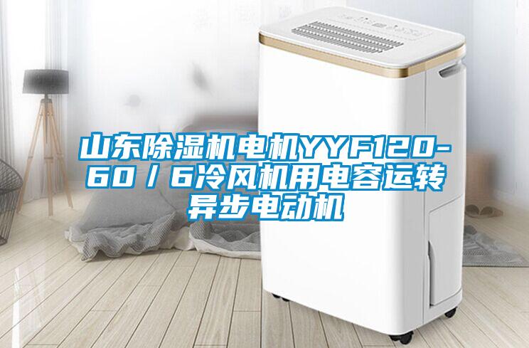 山東除濕機(jī)電機(jī)YYF120-60／6冷風(fēng)機(jī)用電容運(yùn)轉(zhuǎn)異步電動(dòng)機(jī)