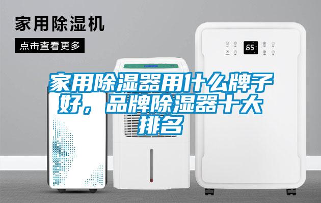 家用除濕器用什么牌子好，品牌除濕器十大排名