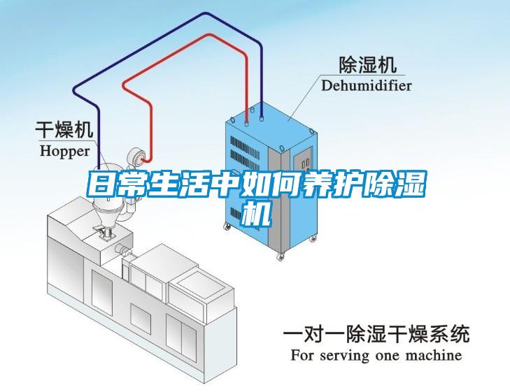 日常生活中如何養護除濕機