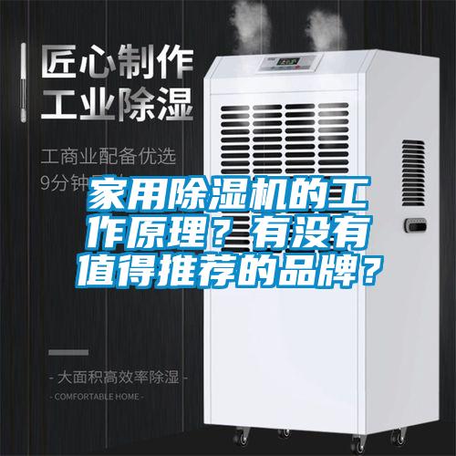 家用除濕機的工作原理？有沒有值得推薦的品牌？