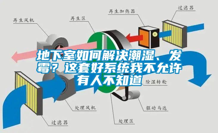 地下室如何解決潮濕、發霉？這套好系統我不允許有人不知道