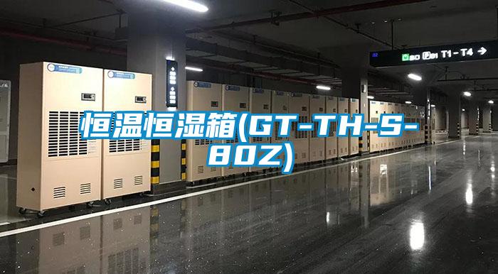 恒溫恒濕箱(GT-TH-S-80Z)