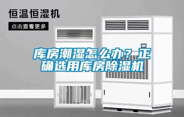 庫房潮濕怎么辦？正確選用庫房除濕機