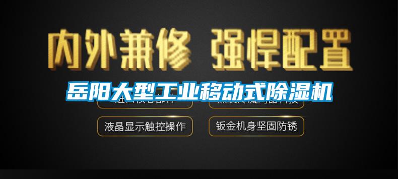 岳陽大型工業移動式除濕機