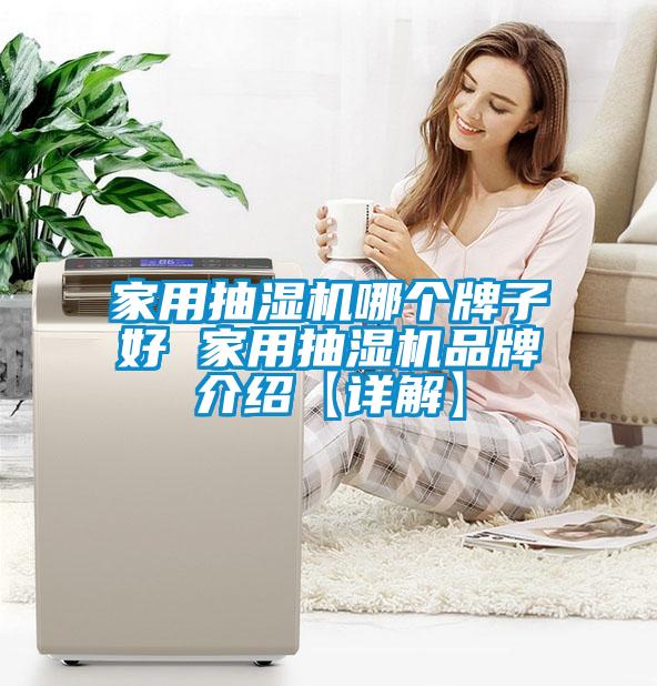 家用抽濕機哪個牌子好 家用抽濕機品牌介紹【詳解】