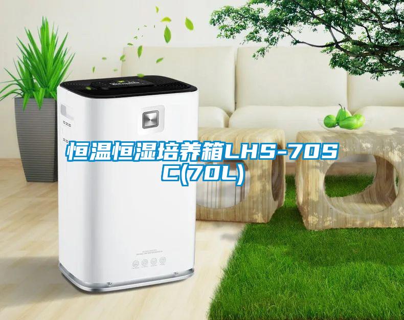 恒溫恒濕培養箱LHS-70SC(70L)