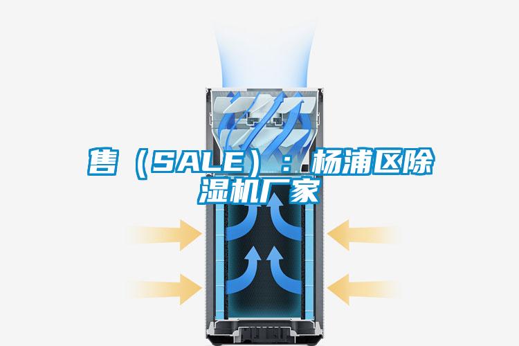 售（SALE）：楊浦區除濕機廠家