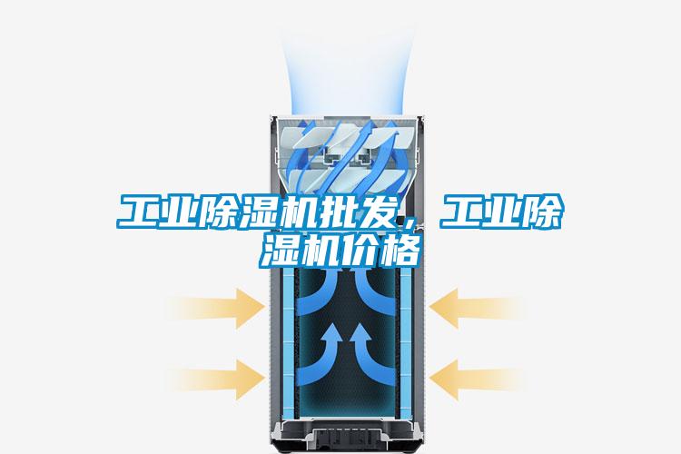 工業(yè)除濕機批發(fā)，工業(yè)除濕機價格