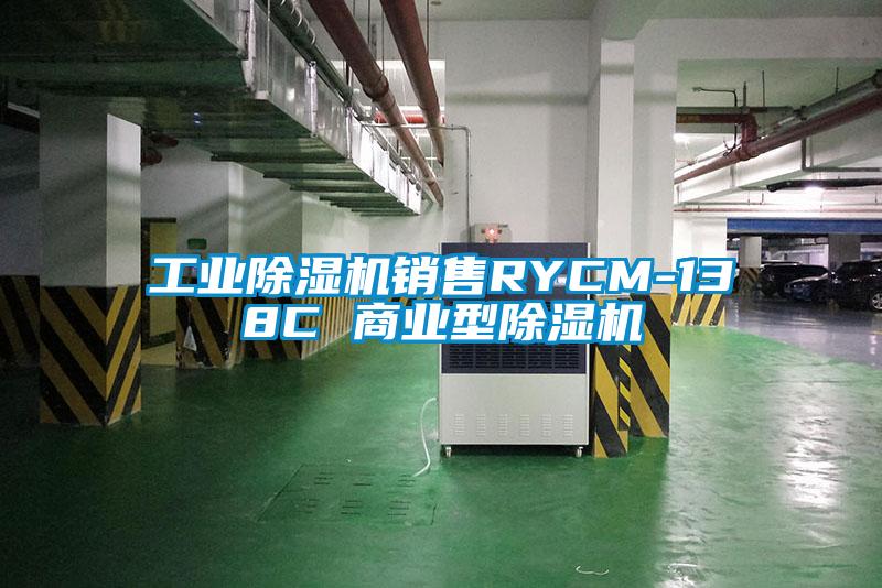 工業(yè)除濕機銷售RYCM-138C 商業(yè)型除濕機