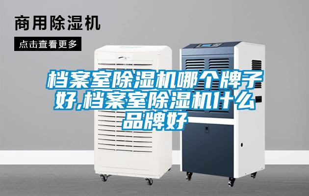 檔案室除濕機哪個牌子好,檔案室除濕機什么品牌好