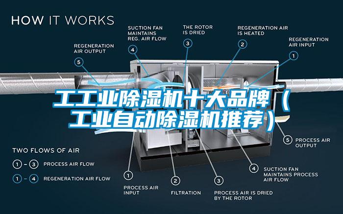 工工業除濕機十大品牌（工業自動除濕機推薦）