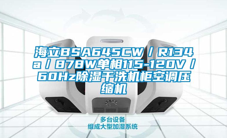 海立BSA645CW／R134a／878W單相115-120V／60Hz除濕干洗機柜空調(diào)壓縮機