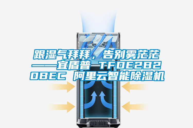 跟濕氣拜拜，告別霧茫茫——宜盾普 TFDE2B20BEC 阿里云智能除濕機