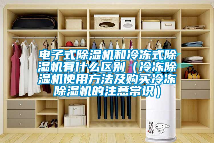 電子式除濕機和冷凍式除濕機有什么區別（冷凍除濕機使用方法及購買冷凍除濕機的注意常識）