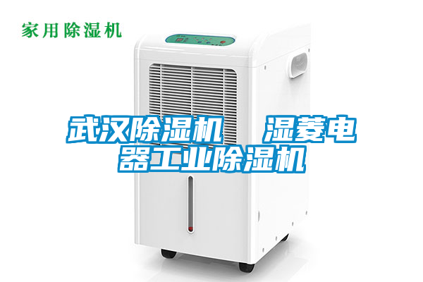 武漢除濕機(jī)  濕菱電器工業(yè)除濕機(jī)