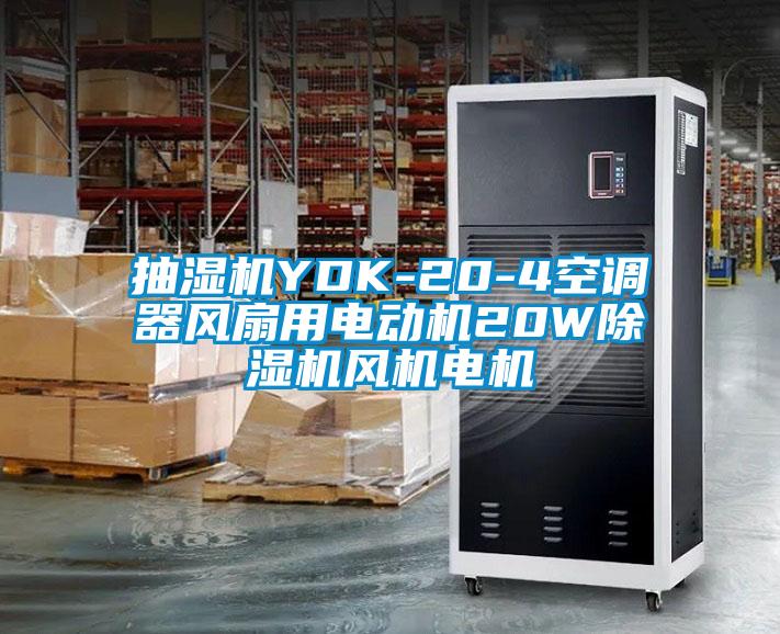 抽濕機(jī)YDK-20-4空調(diào)器風(fēng)扇用電動(dòng)機(jī)20W除濕機(jī)風(fēng)機(jī)電機(jī)