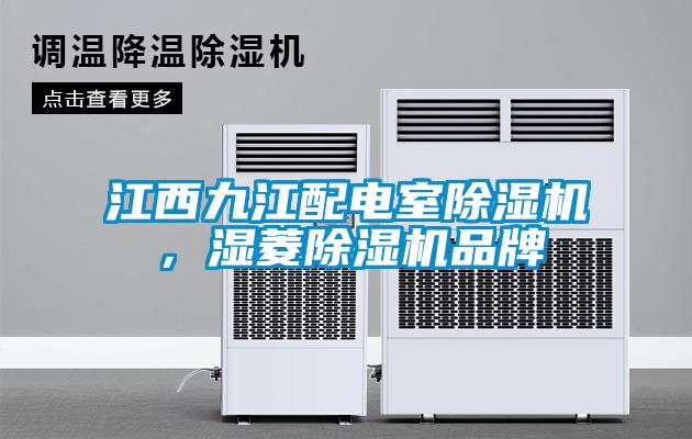 江西九江配電室除濕機，濕菱除濕機品牌