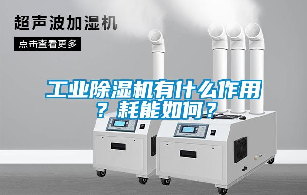 工業除濕機有什么作用？耗能如何？