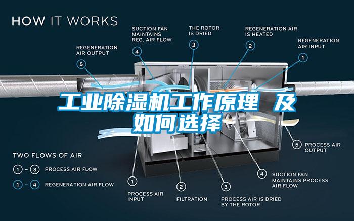 工業除濕機工作原理 及如何選擇