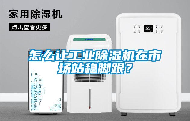 怎么讓工業除濕機在市場站穩腳跟？