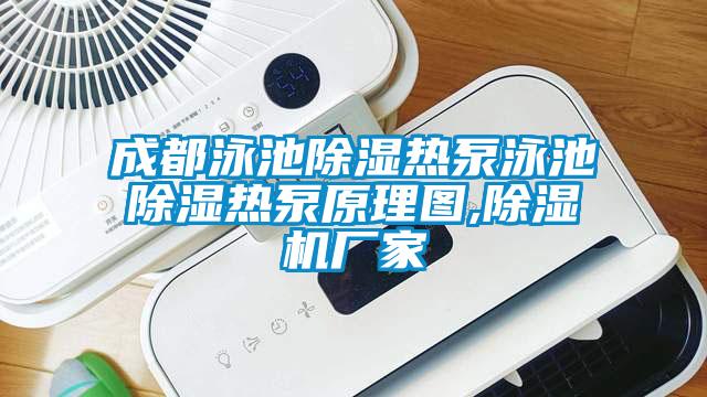 成都泳池除濕熱泵泳池除濕熱泵原理圖,除濕機廠家