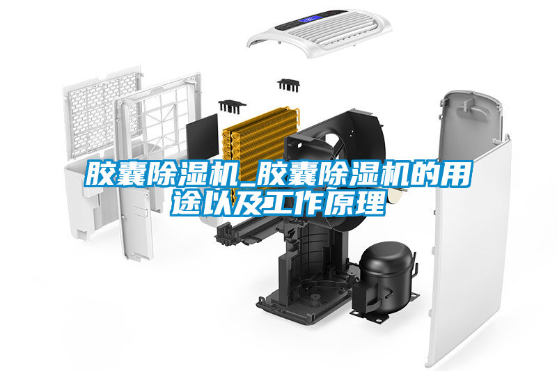 膠囊除濕機_膠囊除濕機的用途以及工作原理