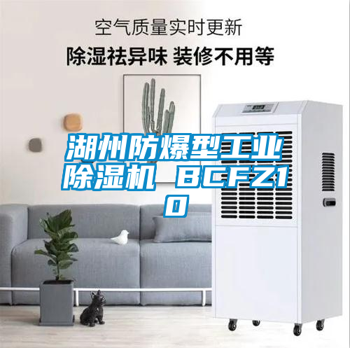 湖州防爆型工業除濕機 BCFZ10