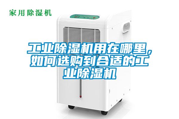 工業除濕機用在哪里，如何選購到合適的工業除濕機