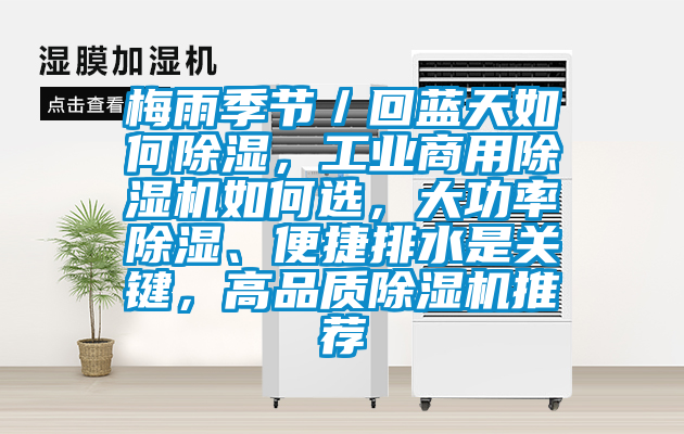 梅雨季節／回藍天如何除濕，工業商用除濕機如何選，大功率除濕、便捷排水是關鍵，高品質除濕機推薦