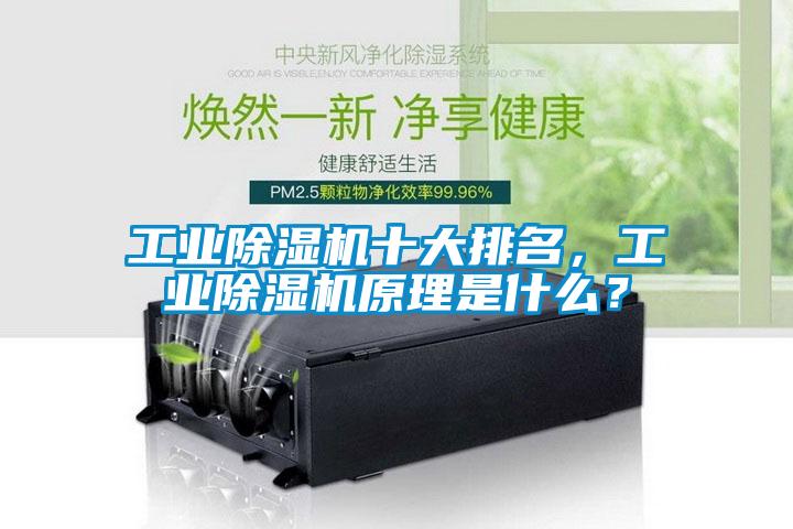 工業除濕機十大排名，工業除濕機原理是什么？