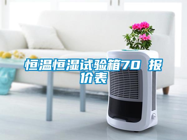 恒溫恒濕試驗箱70℃報價表