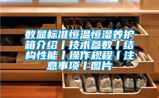 數顯標準恒溫恒濕養護箱介紹丨技術參數丨結構性能丨操作規程丨注意事項丨圖片