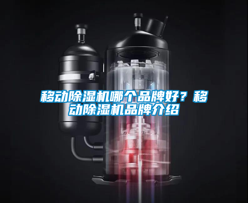 移動除濕機哪個品牌好？移動除濕機品牌介紹