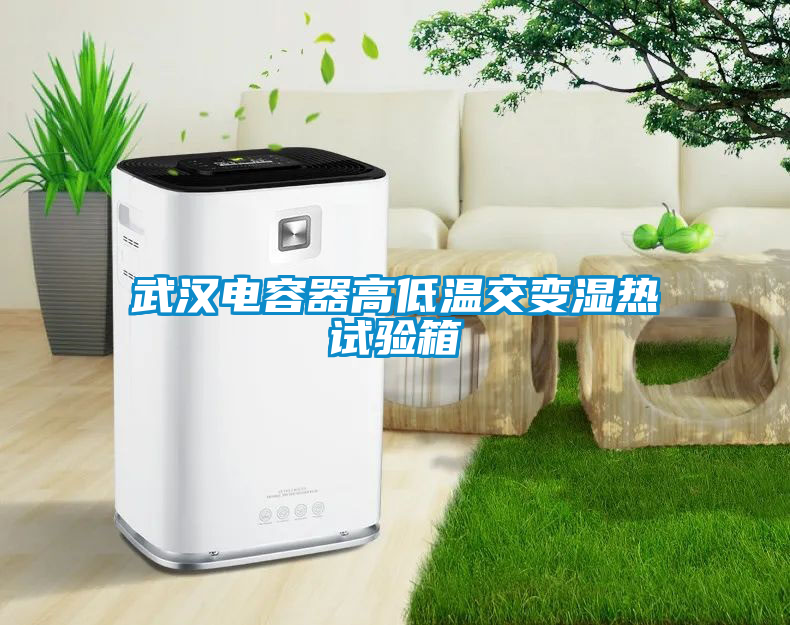 武漢電容器高低溫交變濕熱試驗(yàn)箱