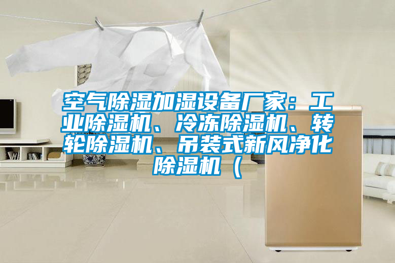 空氣除濕加濕設備廠家：工業除濕機、冷凍除濕機、轉輪除濕機、吊裝式新風凈化除濕機（